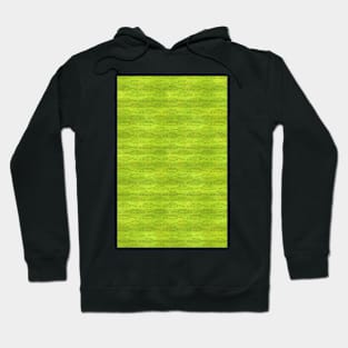 Palm Traffic! (Green Stripes) Hoodie